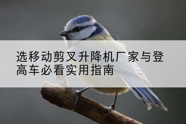 蒸湘电动升降机厂家-选移动剪叉升降机厂家与登高车必看实用指南