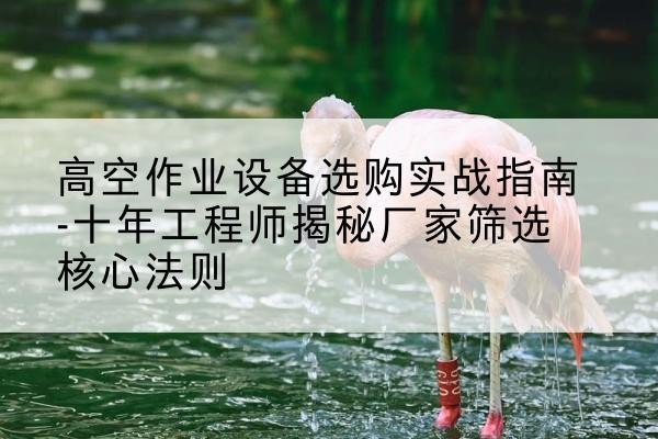 蒸湘剪叉式升降机厂家-高空作业设备选购实战指南-十年工程师揭秘厂家筛选核心法则