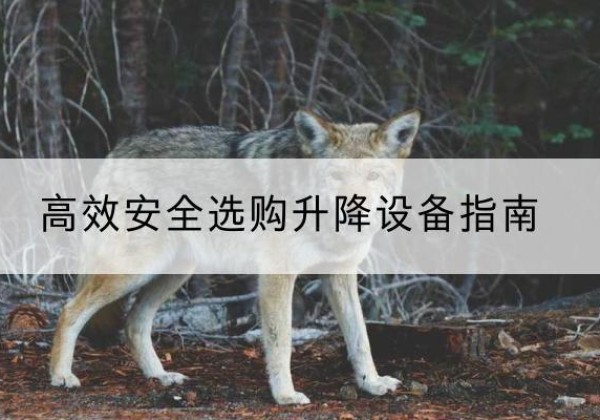 蒸湘升降货梯厂家推荐-*安全选购升降设备指南