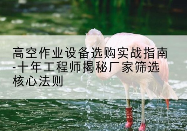 蒸湘剪叉式升降机厂家-高空作业设备选购实战指南-十年工程师揭秘厂家筛选核心法则