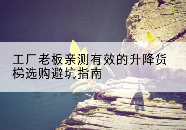 蒸湘升降货梯怎么选-工厂老板亲测有效的升降货梯选购避坑指南